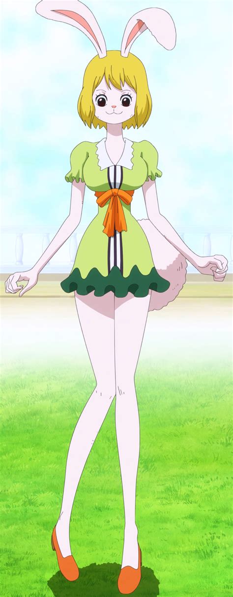 carrot hentai|Character: Carrot (One Piece) 